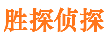 成武市调查公司